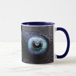 Blue-Eyed Pleco , Panaque cochliodon Mug