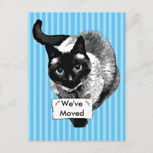 Blue Eyed Siamese Cat Holding "We're Moving Sign Announcement Postcard