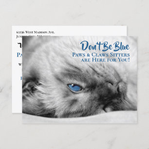 Blue Eyed Siamese Pet Sitter's Custom Postcard