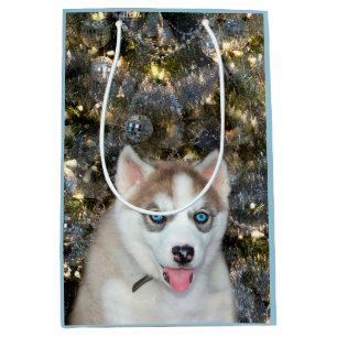 Blue eyed Siberian Husky Christmas Medium Gift Bag