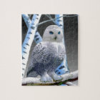 Blue-eyed Snow Owl