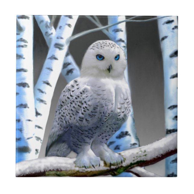 Blue-eyed Snow Owl Tile (Front)