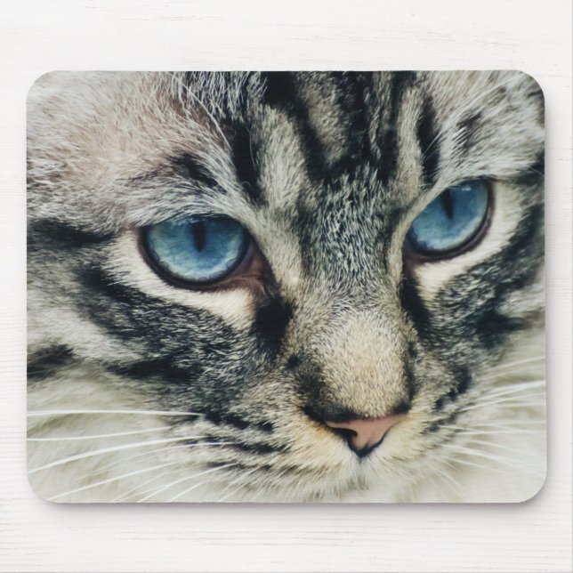 Blue-Eyed Tabby Cat Close-up Mouse Pad (Front)