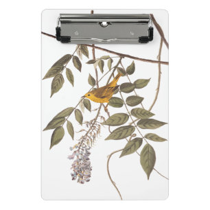 Blue-Eyed Yellow Warbler Audubon Bird on Wisteria Mini Clipboard