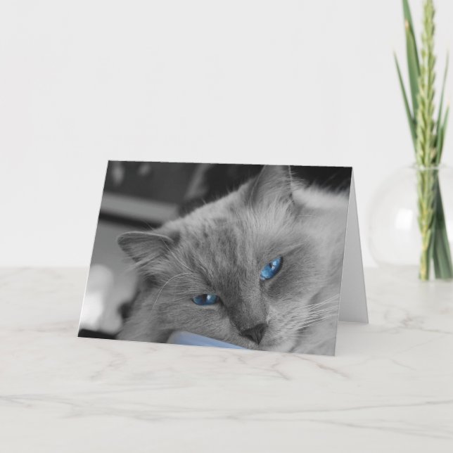 Blue Eyes Card (Front)