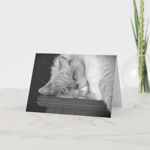 Blue Eyes, card
