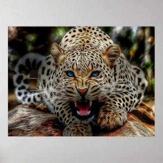 Blue Eyes Cheetah Poster