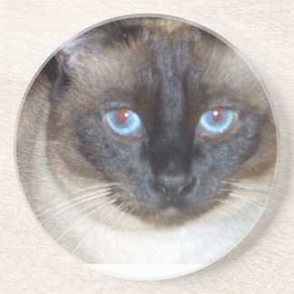 Blue Eyes Coaster
