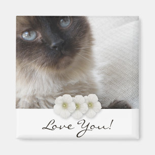 Blue Eye's Kitty Magnet