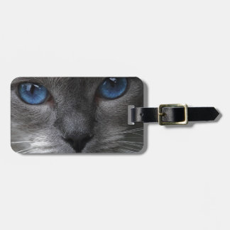 Blue Eyes Luggage Tag