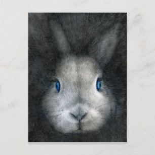 BLUE EYES POSTCARD