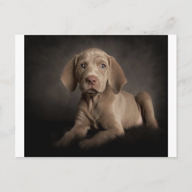 Blue eyes postcard (Front)