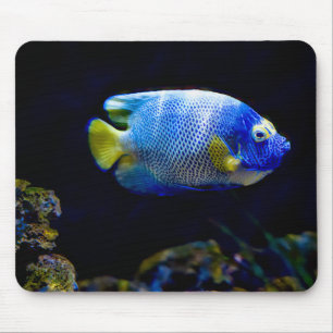 Blue-faced angelfish, fish, underwater mouse pad