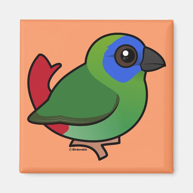 Blue-faced Parrotfinch Magnet (Front)