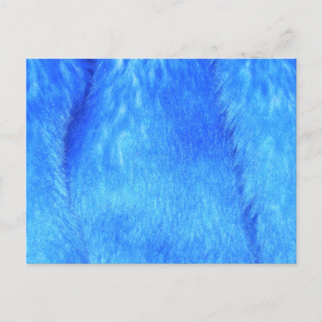Blue Faux Fur Postcard (Front)