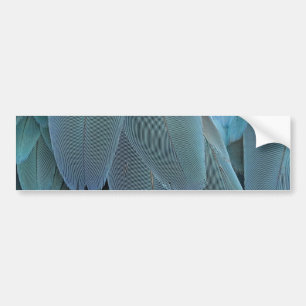 Blue Feather Bumper Sticker