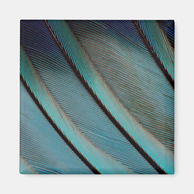 Blue feather pattern magnet (Front)