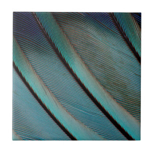 Blue feather pattern tile