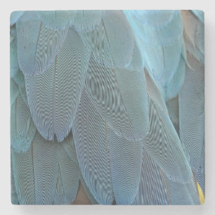 Blue Feather Stone Coaster