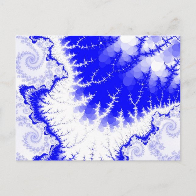 Blue Feathered Star Postcard (Front)