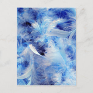 Blue feathers postcard