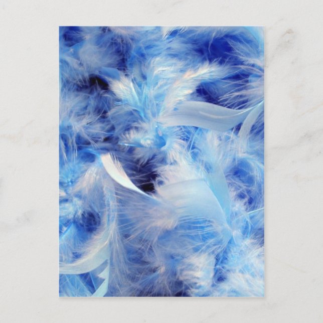 Blue feathers postcard (Front)