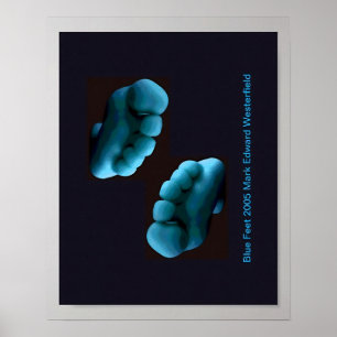 Blue Feet Art  Poster