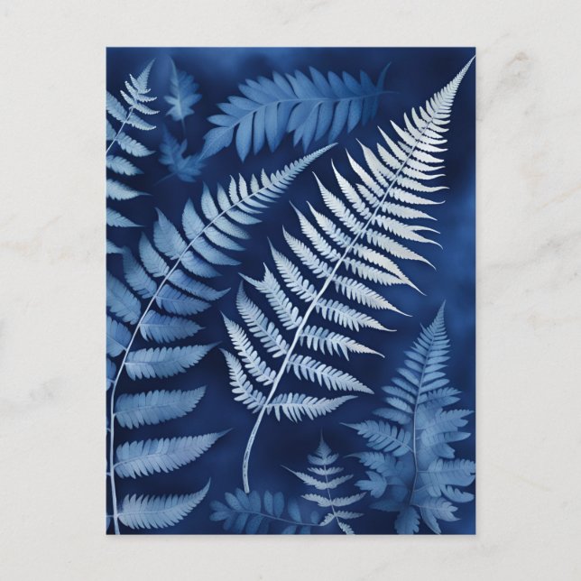 Blue Fern Cyanotype Postcard (Front)