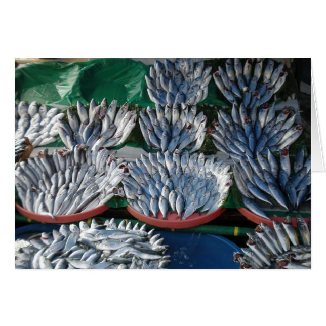 Blue Fish (Front Horizontal)