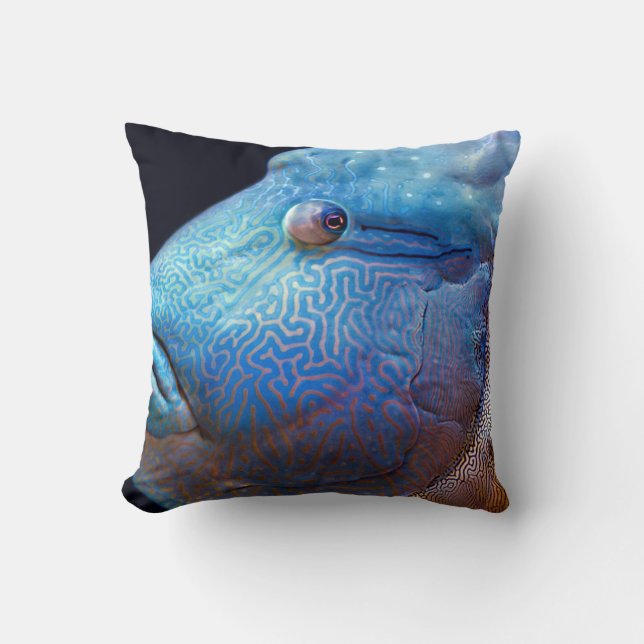 Blue fish cushion (Front)