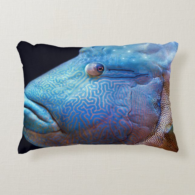 Blue fish decorative cushion (Front)