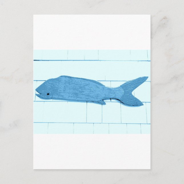 blue fish logo postcard (Front)