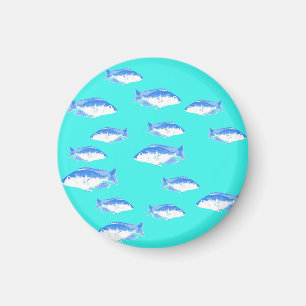Blue fish on turquoise magnet