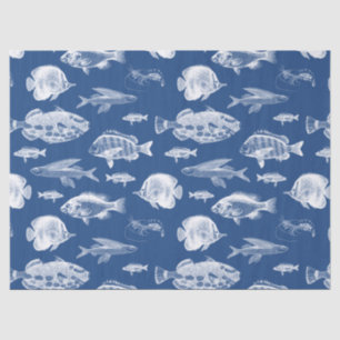 Blue Fish Tissue Paper