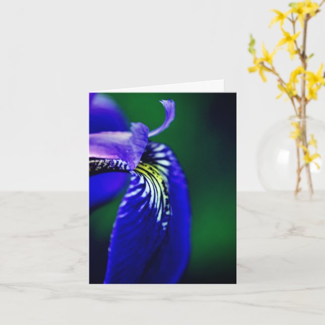 Blue Flag Iris Flower Note Card (Yellow Flower)