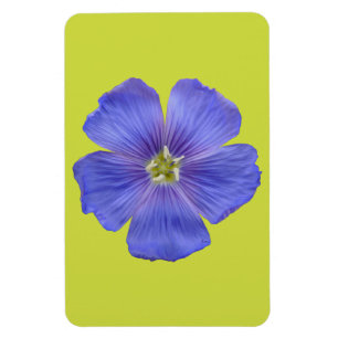 Blue Flax #1 Magnet