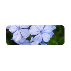 Blue Floral Bokeh
