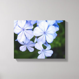 Blue Floral Bokeh Canvas Print