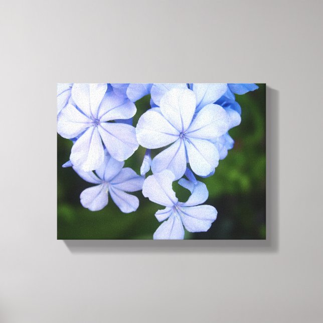 Blue Floral Bokeh Canvas Print (Front)