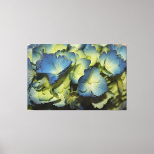 Blue Floral Designer Canvas Print
