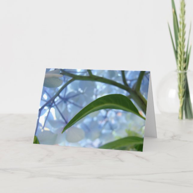 Blue Floral Greeting Cards Blank Hydrangea Flowers (Front)