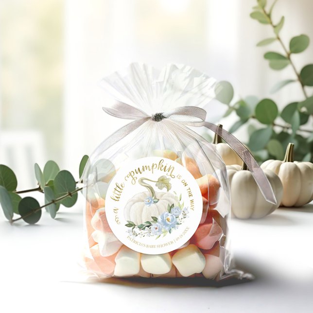 Blue Floral Little Pumpkin Fall Baby Shower Classic Round Sticker (Creator Uploaded)
