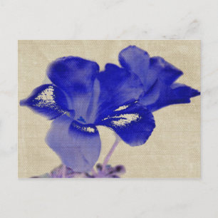 Blue Floral Postcard