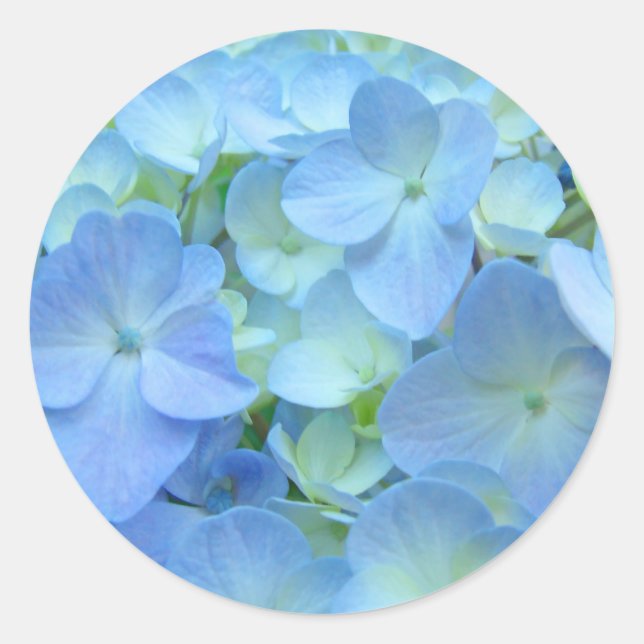 Blue Floral stickers Envelope seals Hydrangeas (Front)