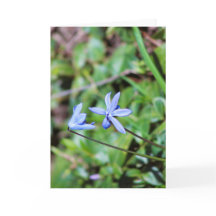 Blue floral with poem inside greeting card