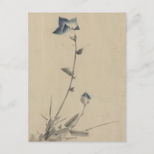 Blue Flower Blossom and Bud at the End of a Stalk Postcard