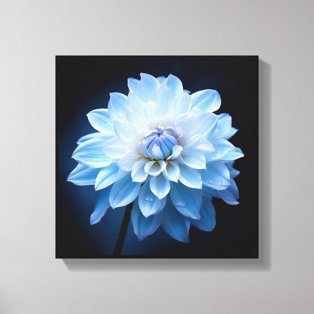 Blue Flower Canvas Print (Front)