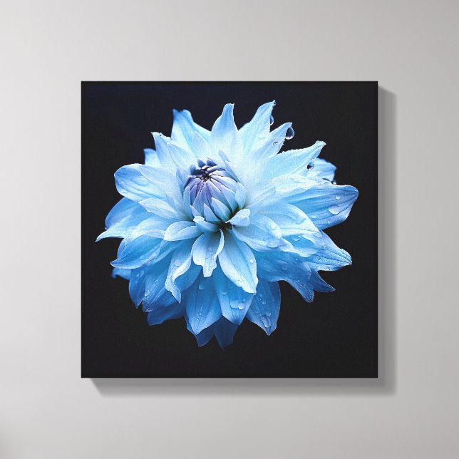 Blue Flower Canvas Print (Front)