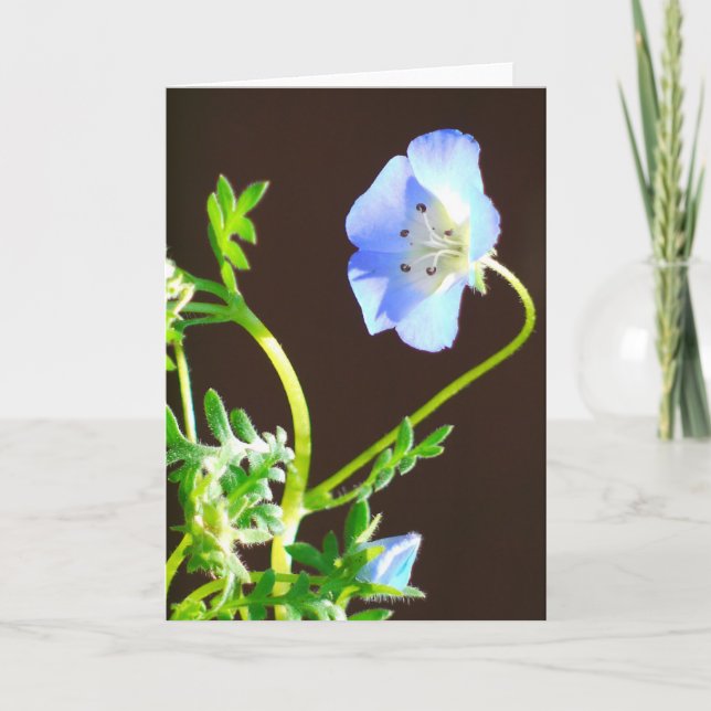 Blue Flower-Card Card (Front)