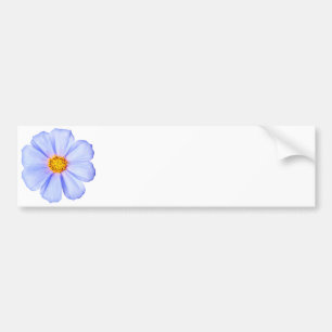 Blue Flower - Customised Cosmos Daisies Template Bumper Sticker